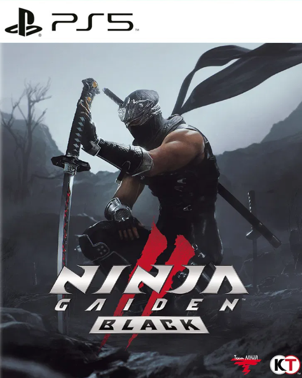 NINJA GAIDEN BLACK